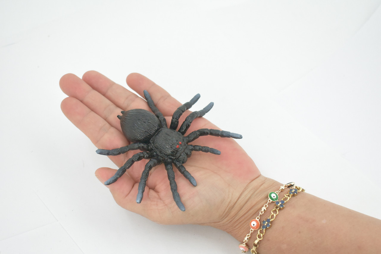 Spider, Tarantula, Theraphosidae, Solid Rubber Arachnids, Educational, Toy, Kids, Realistic Figure, Lifelike Model, Figurine, Replica, Gift,