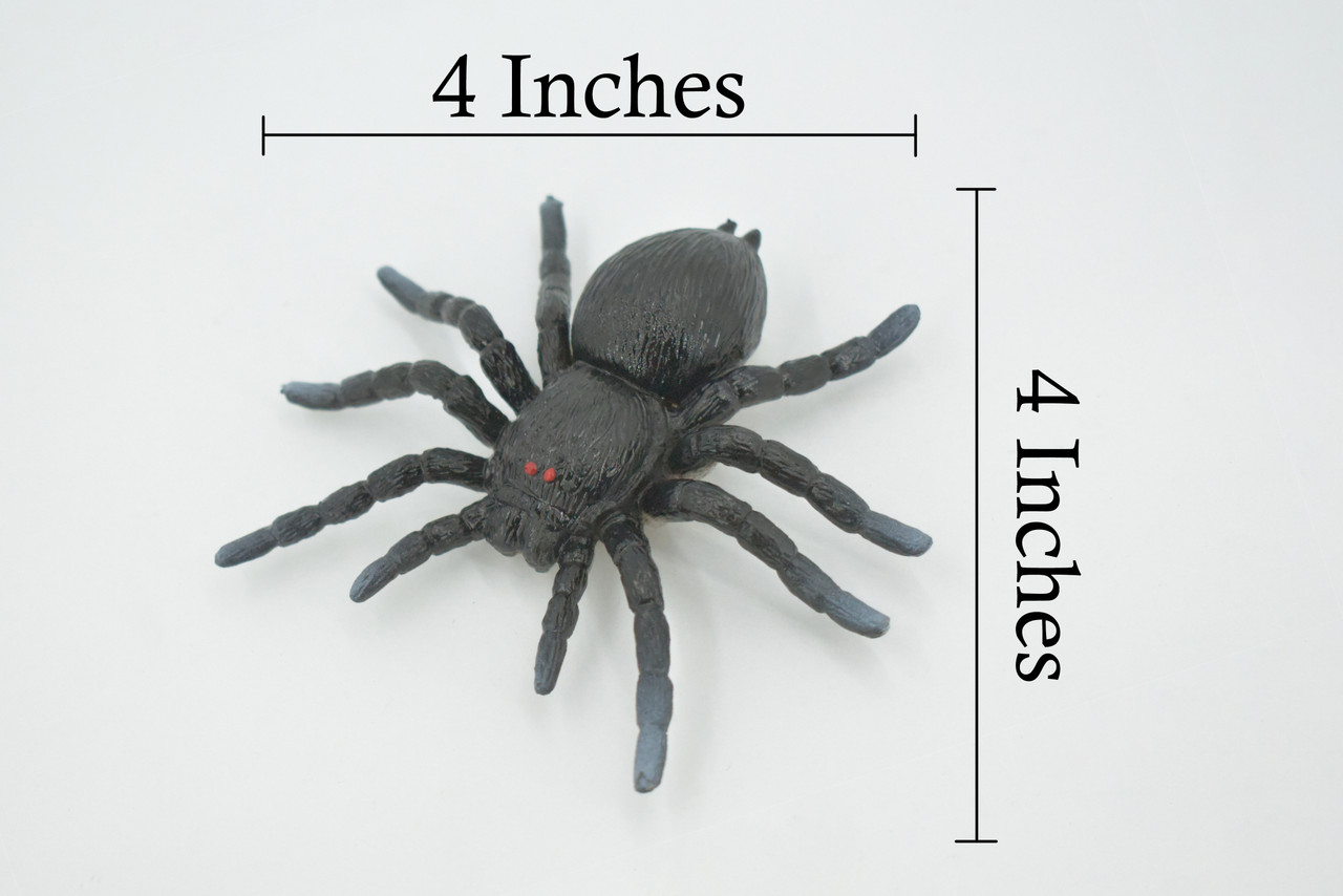 Spider, Tarantula, Theraphosidae, Solid Rubber Arachnids, Educational, Toy, Kids, Realistic Figure, Lifelike Model, Figurine, Replica, Gift,