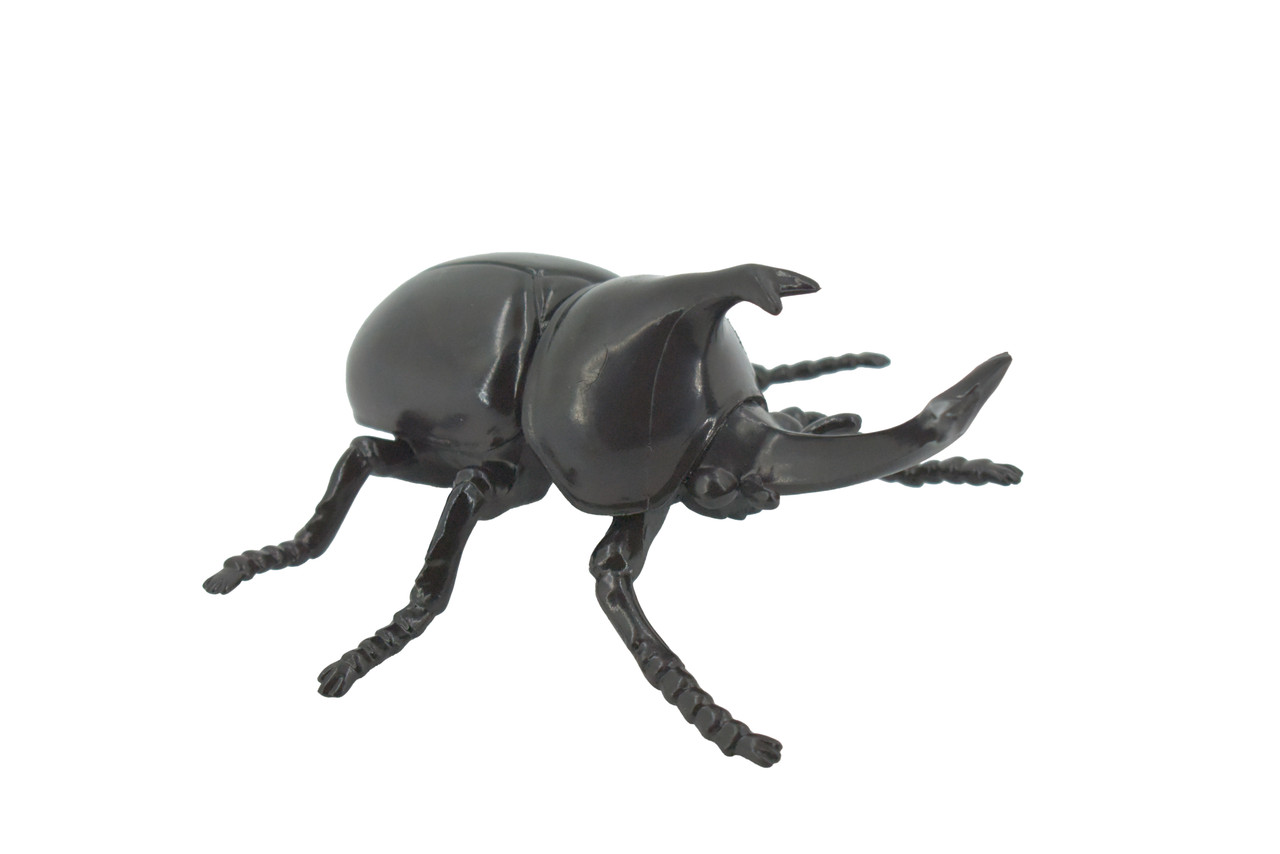 Beetle, Rhinoceros, Horned Stag Beetle, Dynastinae, Rubber Insect, Educational, Toy, Kids, Realistic Figure, Lifelike Model, Figurine, Replica, Gift,     5"     ABC17 B263
