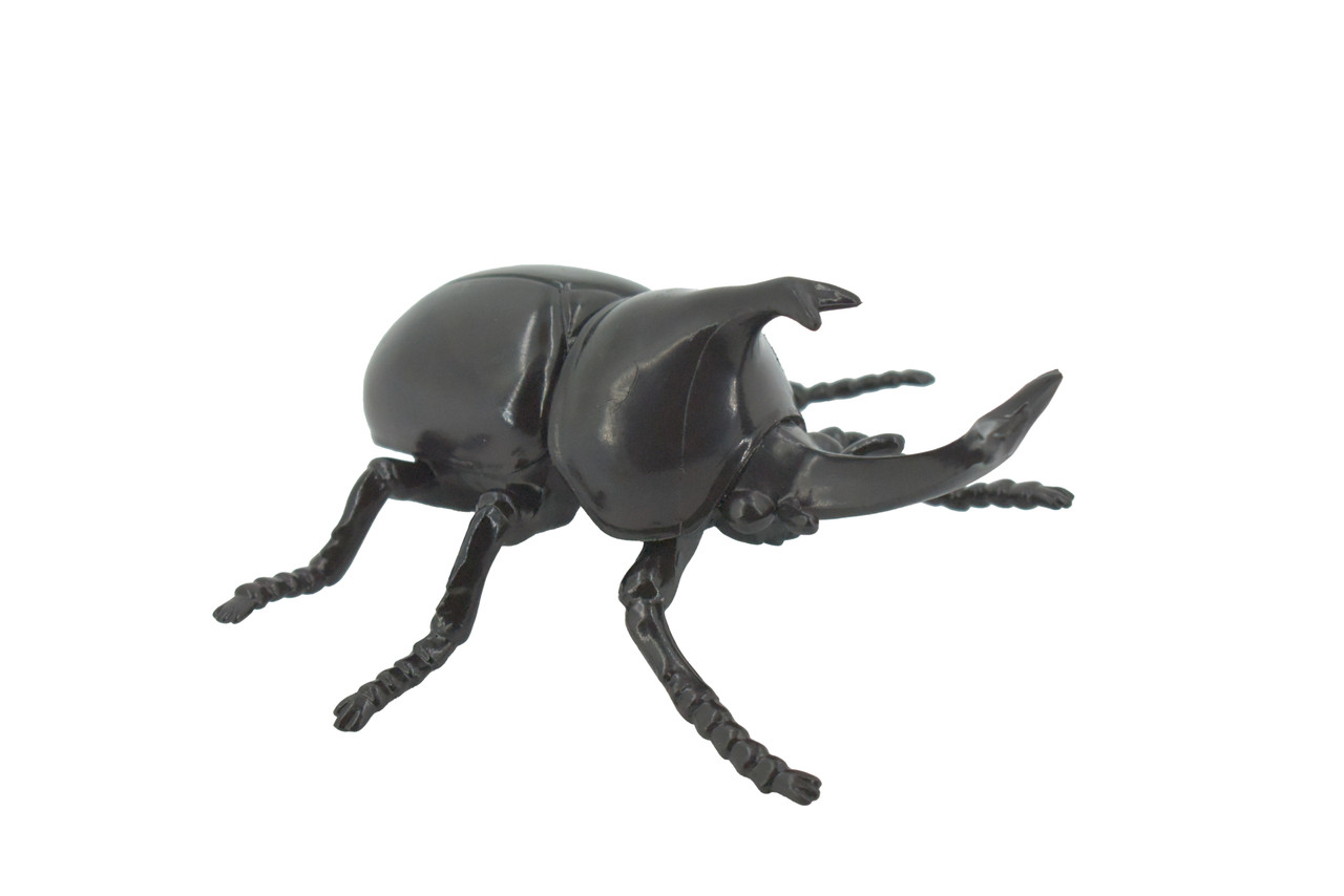 Beetle, Rhinoceros, Horned Stag Beetle, Dynastinae, Rubber Insect, Educational, Toy, Kids, Realistic Figure, Lifelike Model, Figurine, Replica, Gift