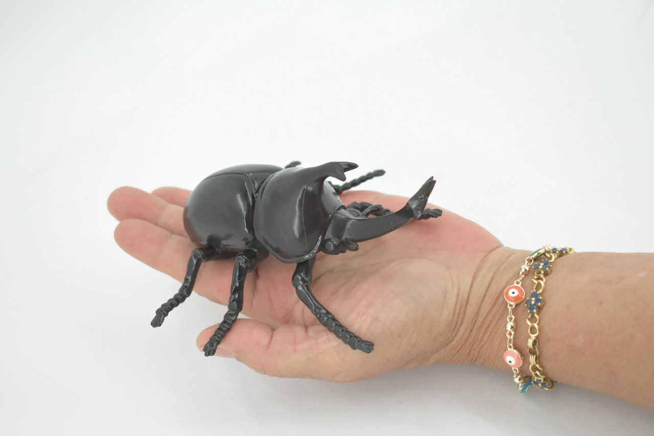 Beetle, Rhinoceros, Horned Stag Beetle, Dynastinae, Rubber Insect, Educational, Toy, Kids, Realistic Figure, Lifelike Model, Figurine, Replica, Gift