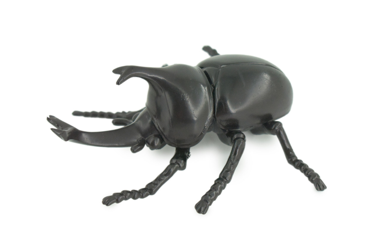 Beetle, Rhinoceros, Horned Stag Beetle, Dynastinae, Rubber Insect, Educational, Toy, Kids, Realistic Figure, Lifelike Model, Figurine, Replica, Gift