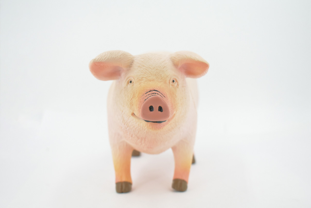 Pig, Hog, Swine, Domestic pig, Very Large, Soft Rubber Animal, Educational, Toy, Kids, Realistic Figure, Lifelike Model, Figurine, Replica, Gift,      11"     ABC18 BB300