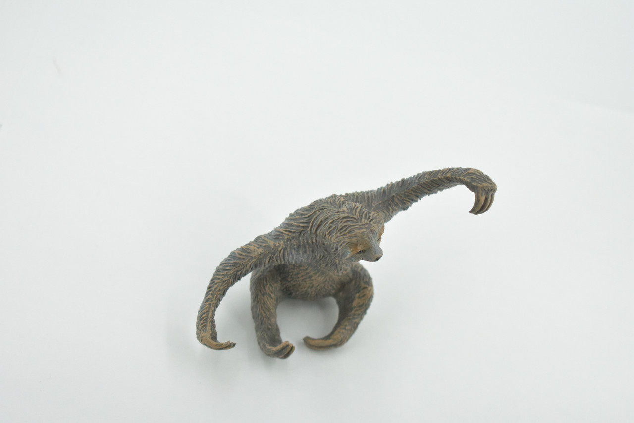 Three Toed Sloth, Primate, Arboreal mammal, Museum Quality, Educational, Hand Painted, Rubber Animal, Diorama Model, Kids, Toys, Gift,   4 Inches.