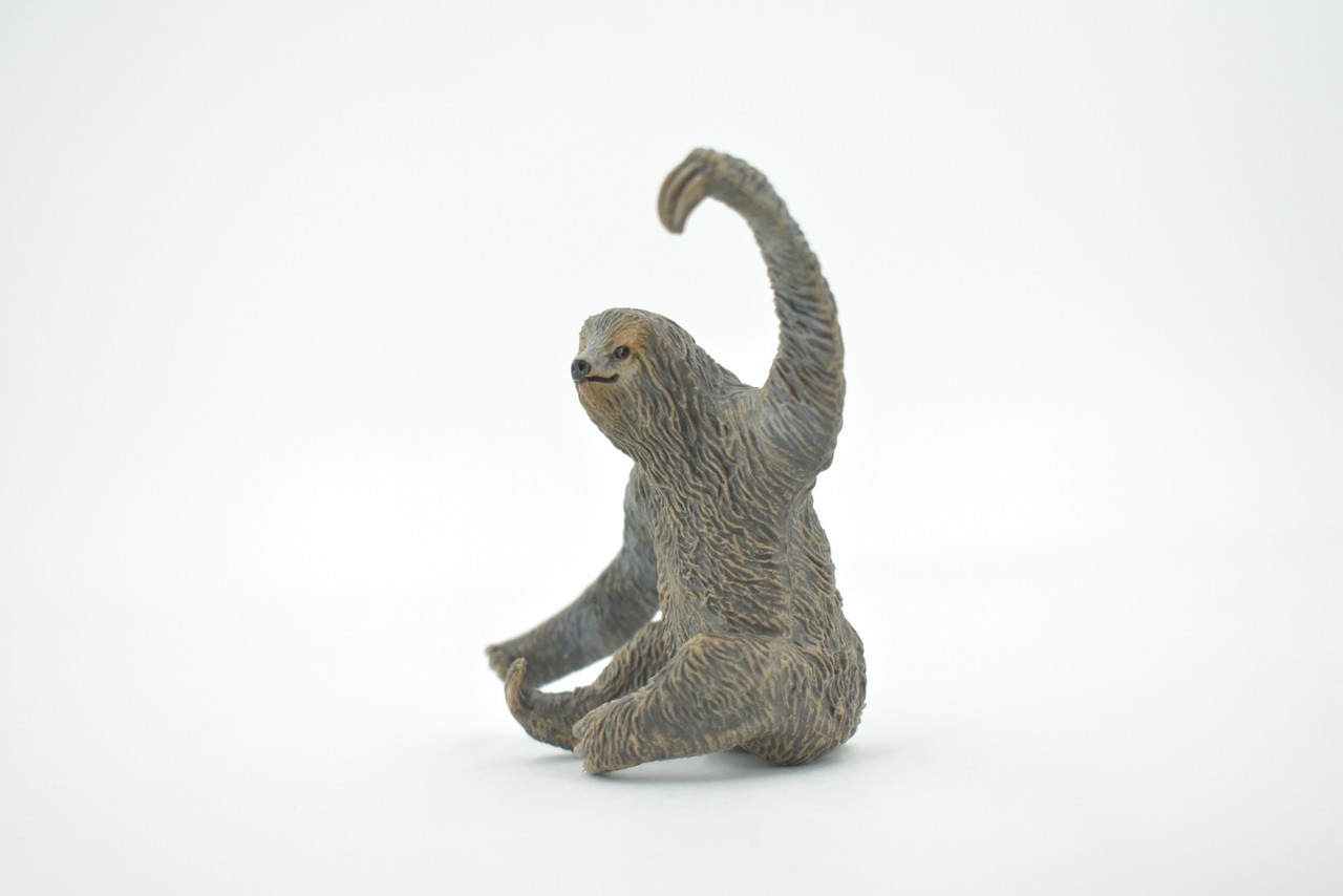 Sloth, Three Toed, Museum Quality, Hand Painted, Rubber Primate, Realistic Toy Figure, Model, Replica, Kids, Educational, Gift,     4"     CH475 BB153