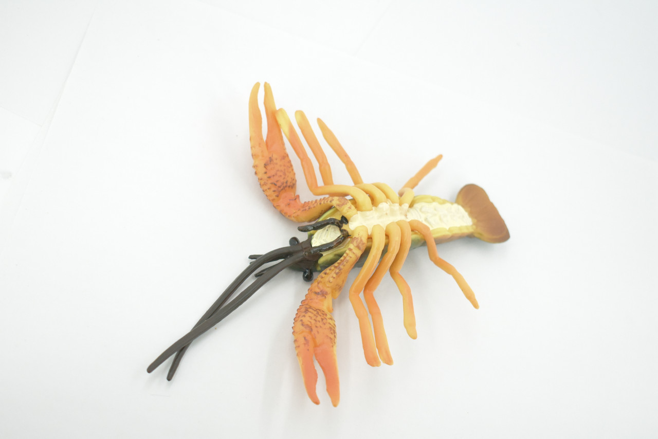 Crawfish, Crayfish, Museum Quality, Hand Painted, Rubber Crustaceans, Educational, Realistic Toy, Figure, Model, Replica, Kids, Lifelike,  Gift,       7"    CH476 BB153