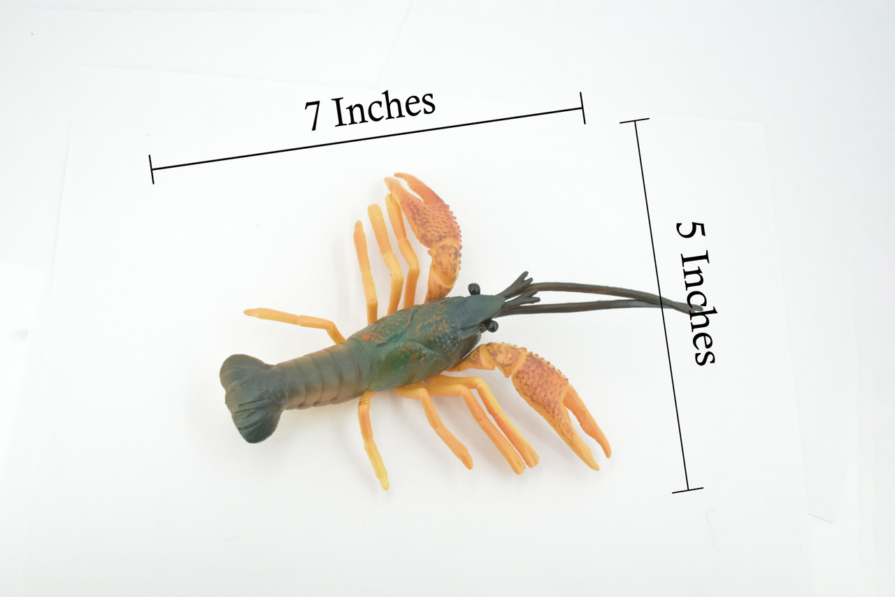 Crawfish, Crayfish, Museum Quality, Hand Painted, Rubber Crustaceans, Educational, Realistic Toy, Figure, Model, Replica, Kids, Lifelike,  Gift,       7"    CH476 BB153