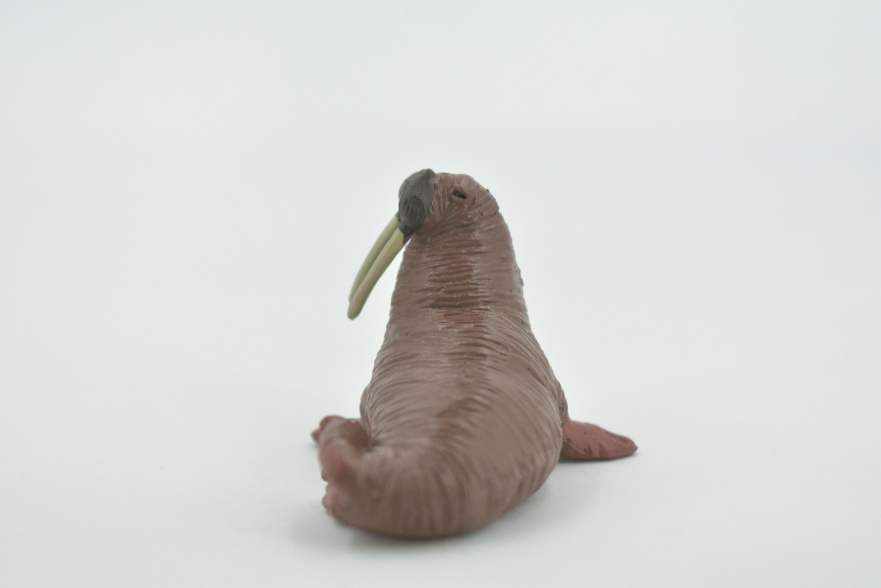 Walrus, Pinniped, Marine Mammal, Very Realistic Rubber Design, Educational, Hand Painted, Rubber, Realistic, Toy, Diorama Model, Kids, Gift,    2 1/4 Inches.