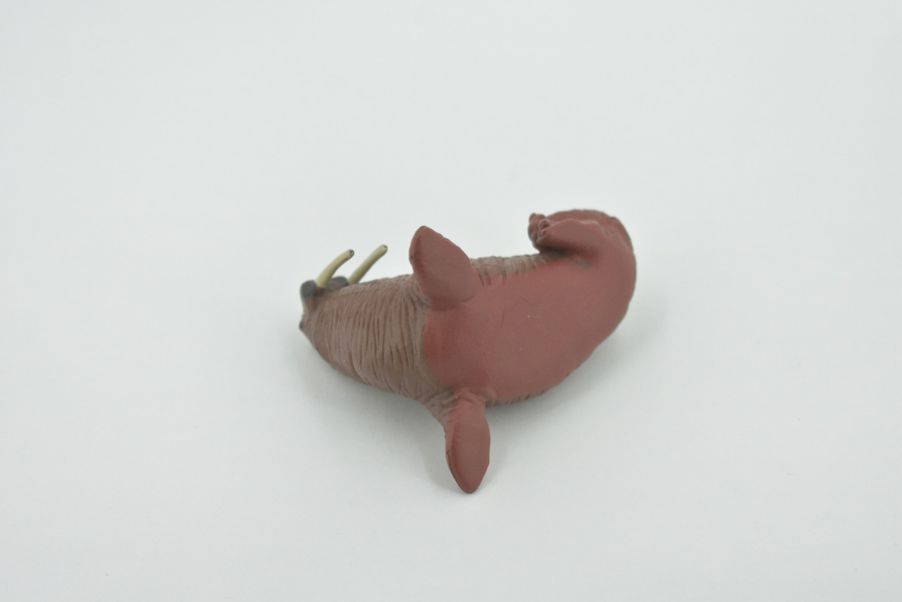 Walrus, Pinniped, Marine Mammal, Very Realistic Rubber Design, Educational, Hand Painted, Rubber, Realistic, Toy, Diorama Model, Kids, Gift,    2 1/4 Inches.