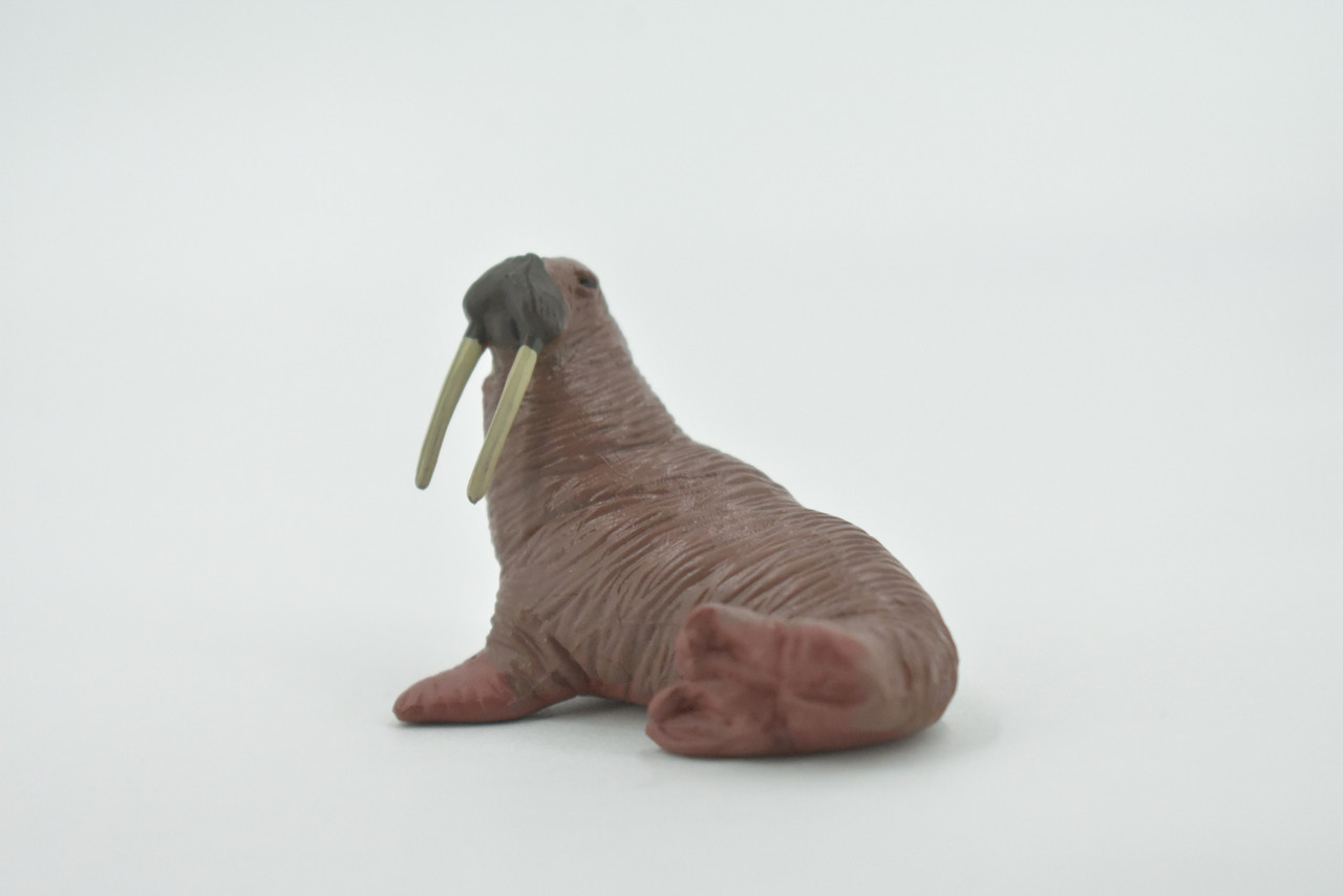 Walrus, Pinniped, Marine Mammal, Very Realistic Rubber Design, Educational, Hand Painted, Rubber, Realistic, Toy, Diorama Model, Kids, Gift,    2 1/4 Inches.
