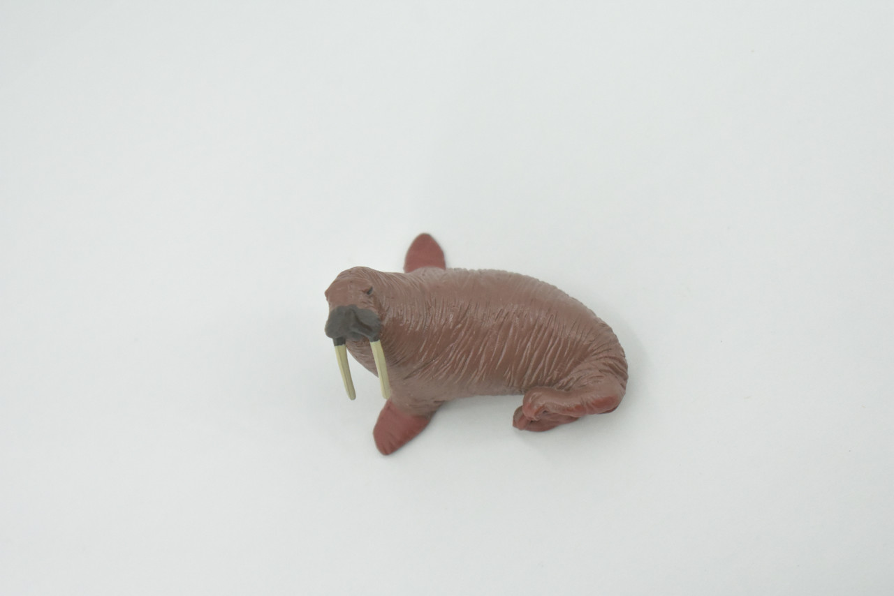 Walrus, Pinniped, Marine Mammal, Museum Quality, Hand Painted, Rubber Animal, Realistic, Toy, Figure, Model, Replica, Kids, Educational, Gift,   2 1/4"   CH479 BB153