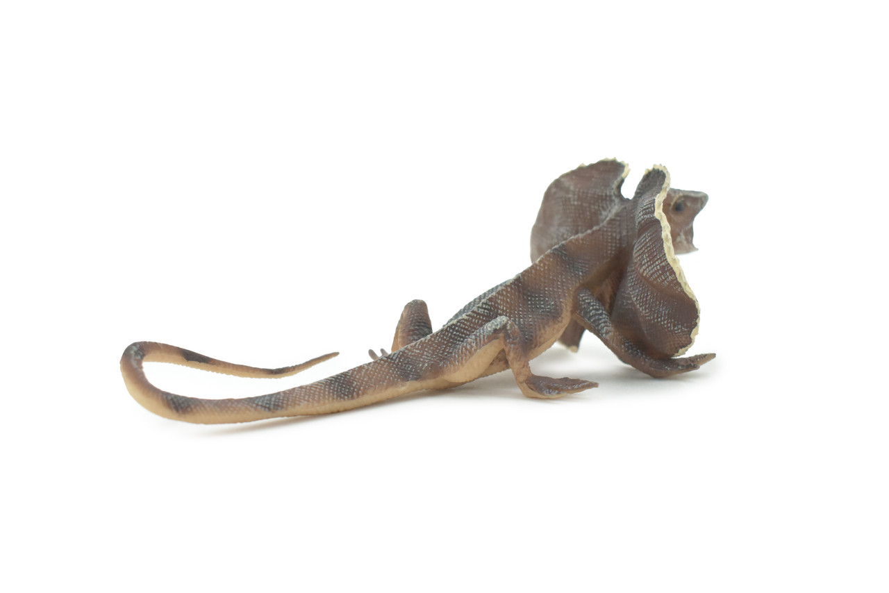 Lizard, Frilled Lizard, Museum Quality, Hand Painted, Rubber Reptile, Realistic Toy, Figure, Model, Replica, Kids, Educational, Gift,     6"     CH480 BB153