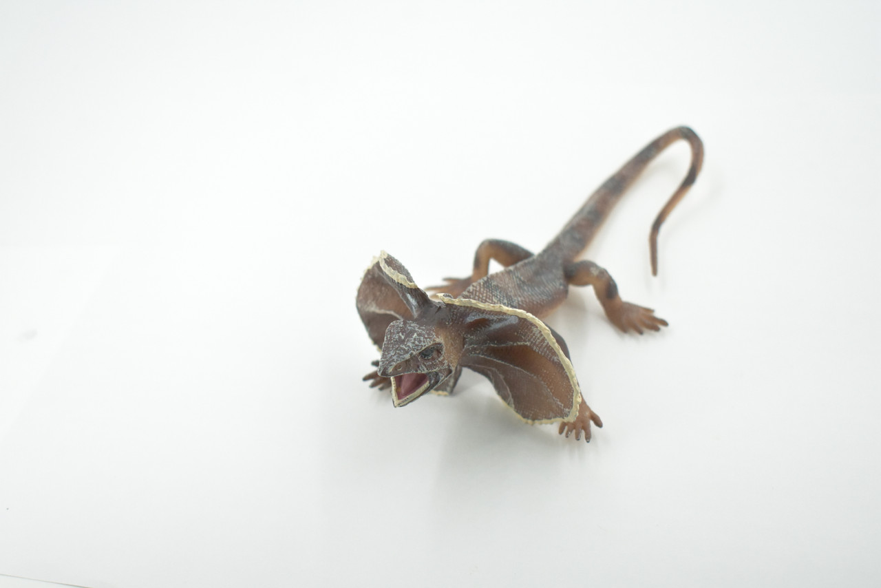 Lizard, Frilled Lizard, Museum Quality, Hand Painted, Rubber Reptile, Realistic Toy, Figure, Model, Replica, Kids, Educational, Gift,     6"     CH480 BB153