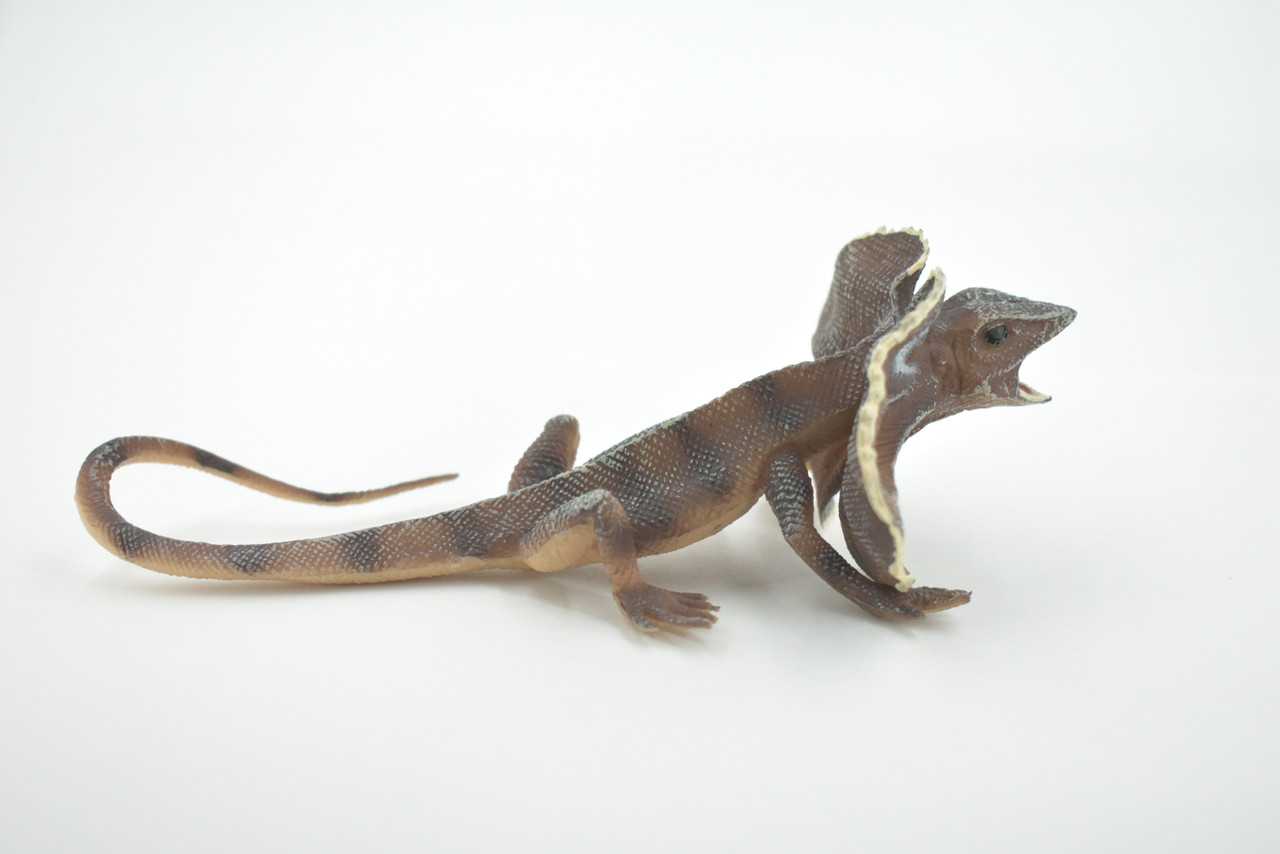 Frilled Lizard, Chlamydosaurus kingii, Museum Quality, Educational, Hand Painted, Rubber Reptile, Realistic Toy, Lifelike Design, Diorama Model, Kids, 6 Inches.