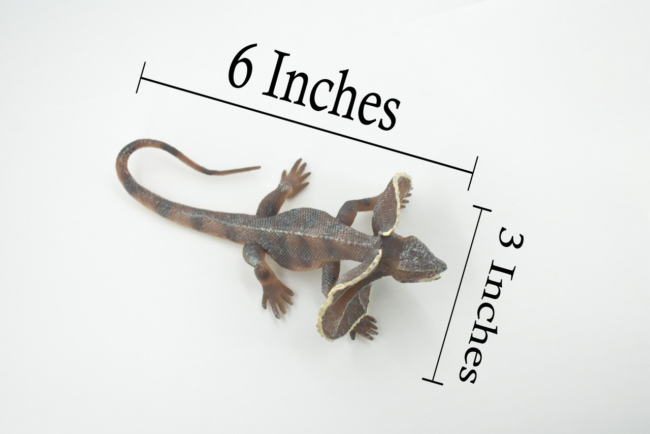 Lizard, Frilled Lizard, Museum Quality, Hand Painted, Rubber Reptile, Realistic Toy, Figure, Model, Replica, Kids, Educational, Gift,     6"     CH480 BB153