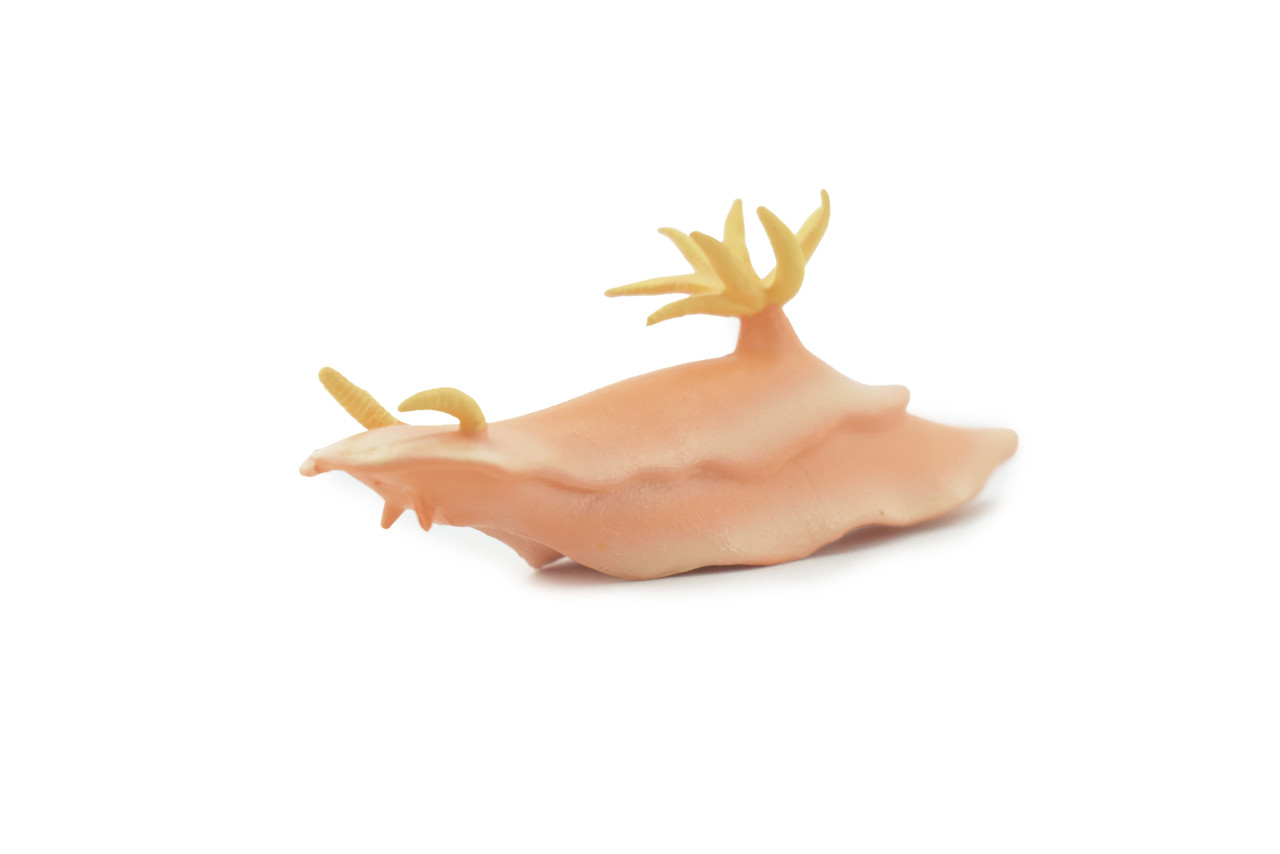 Sea Slug, Marine Mollusks, Museum Quality, Educational, Hand Painted, Rubber Gastropod, Realistic Toy, Lifelike Design, Diorama Model, Kids, Gift,    3 Inches.  