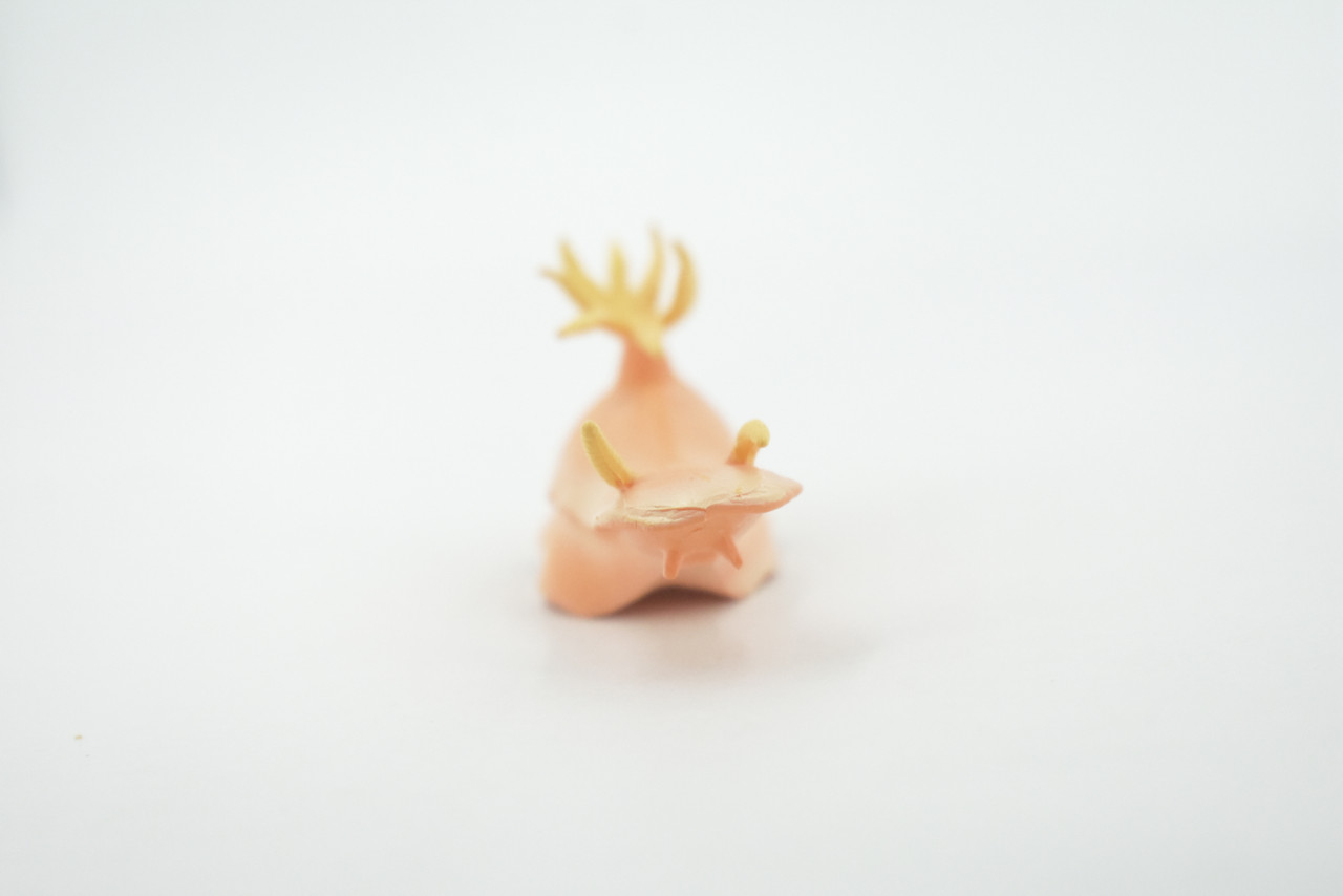 Sea Slug, Marine Mollusks, Museum Quality, Hand Painted, Rubber Gastropod, Realistic Toy, Figure, Model, Replica, Kids, Educational, Gift,     3"     CH482 BB153