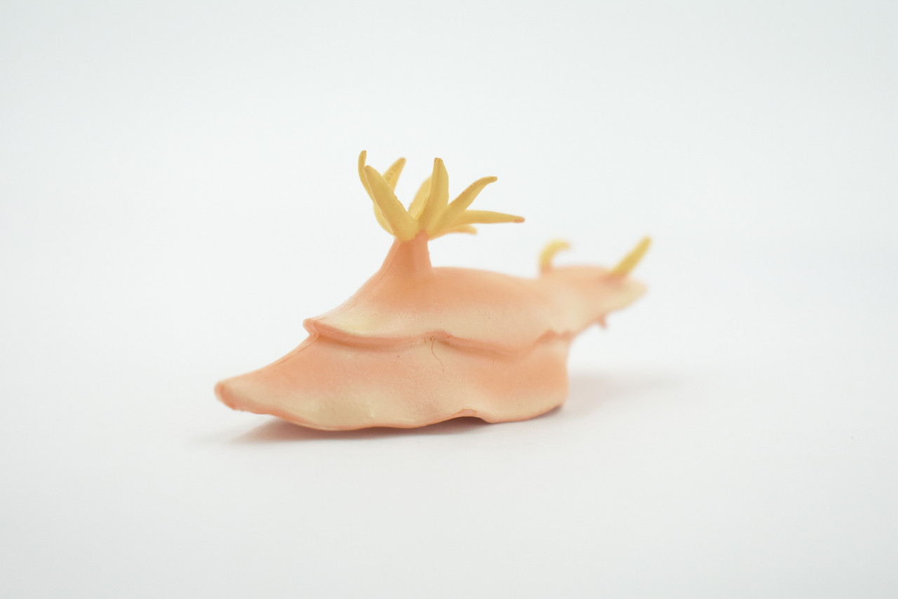 Sea Slug, Marine Mollusks, Museum Quality, Educational, Hand Painted, Rubber Gastropod, Realistic Toy, Lifelike Design, Diorama Model, Kids, Gift,    3 Inches.  
