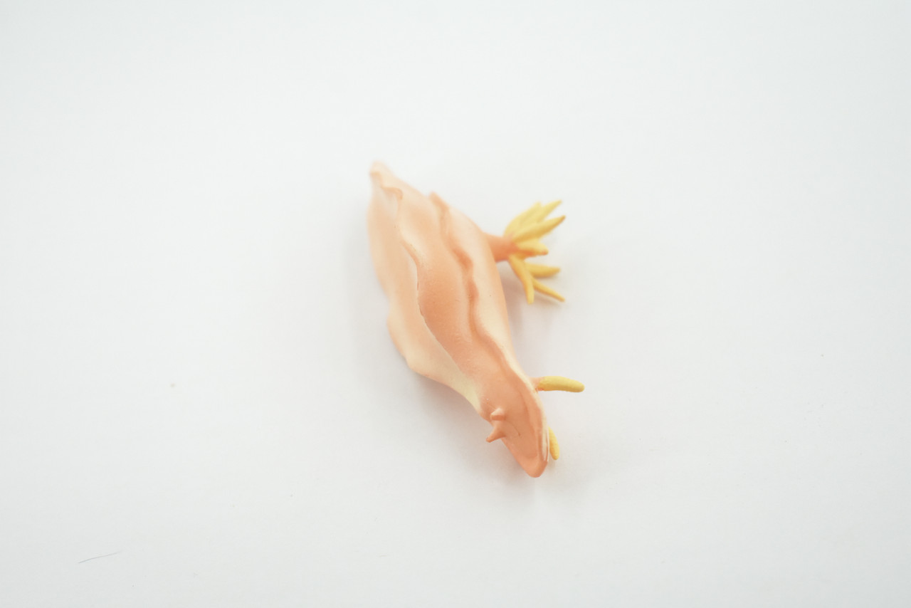 Sea Slug, Marine Mollusks, Museum Quality, Hand Painted, Rubber Gastropod, Realistic Toy, Figure, Model, Replica, Kids, Educational, Gift,     3"     CH482 BB153