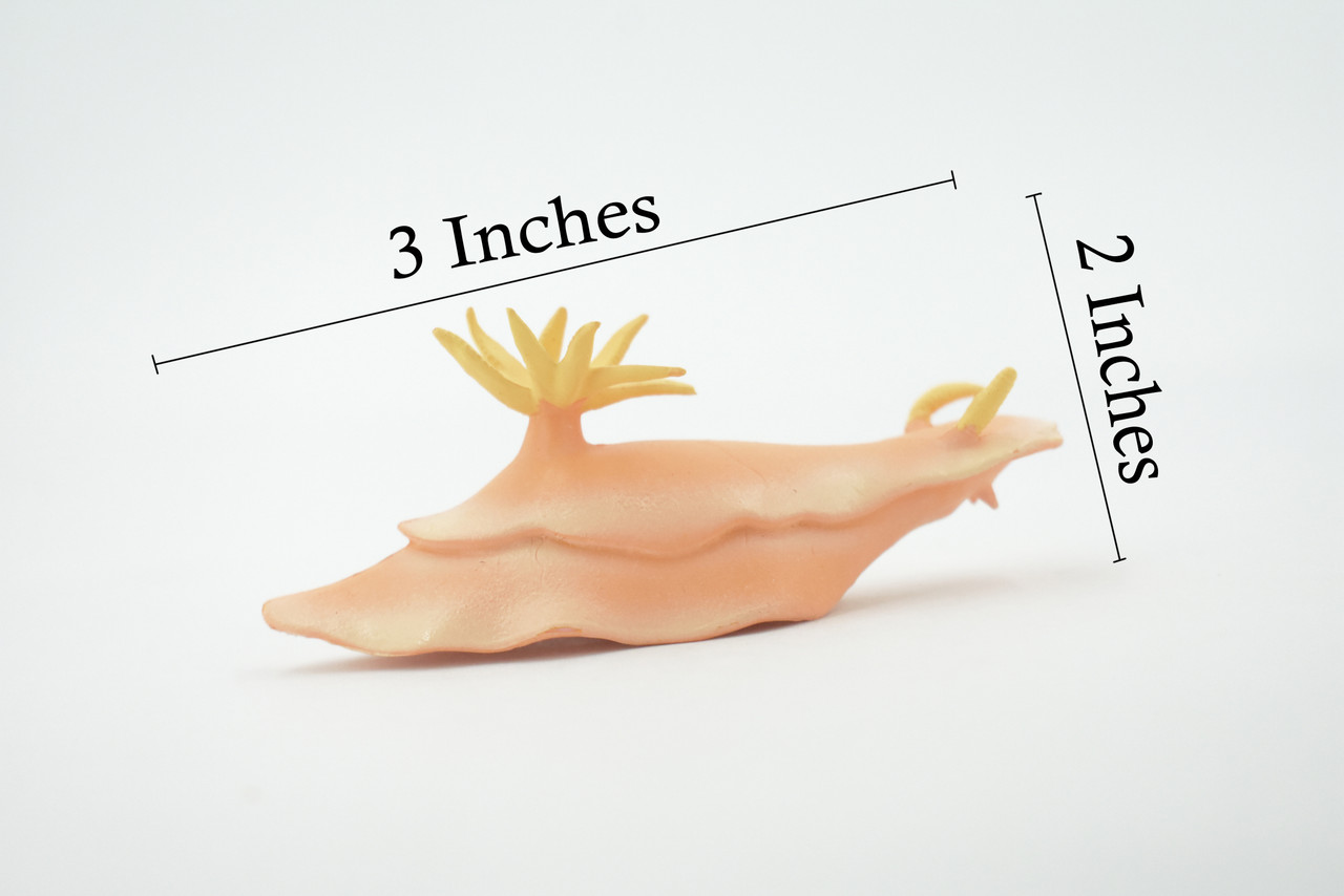 Sea Slug, Marine Mollusks, Museum Quality, Hand Painted, Rubber Gastropod, Realistic Toy, Figure, Model, Replica, Kids, Educational, Gift,     3"     CH482 BB153