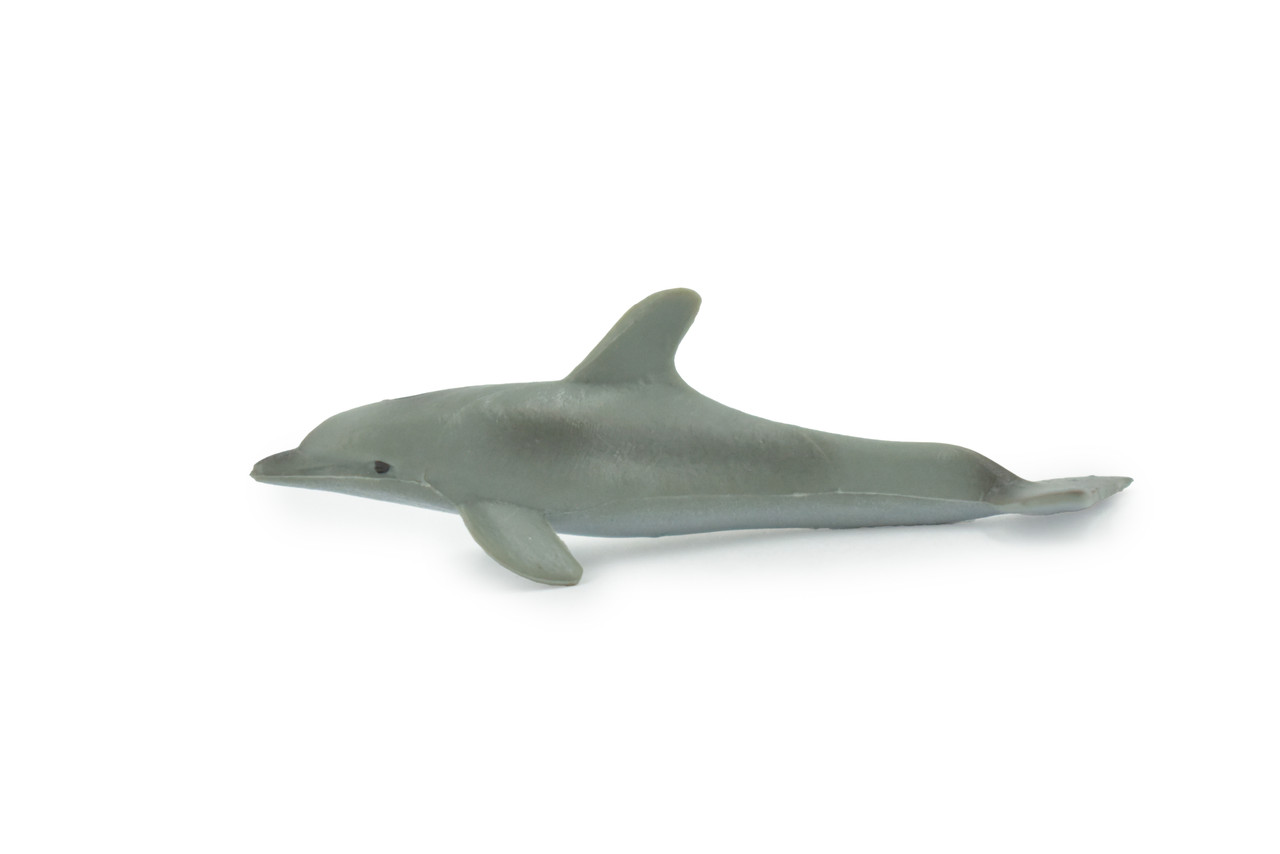 Dolphin, Porpoise, Marine Mammal, High Quality Rubber, Educational, Hand Painted, Realistic, Lifelike Design, Diorama Model, Kids, Gift,      2 1/2 Inches. 