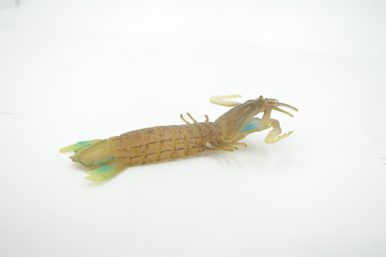 Mantis Shrimp, Marine Crustaceans, Museum Quality, Hand Painted, Rubber, Realistic Toy Figure, Model, Replica, Kids, Educational, Gift,    5"     CH486 BB154