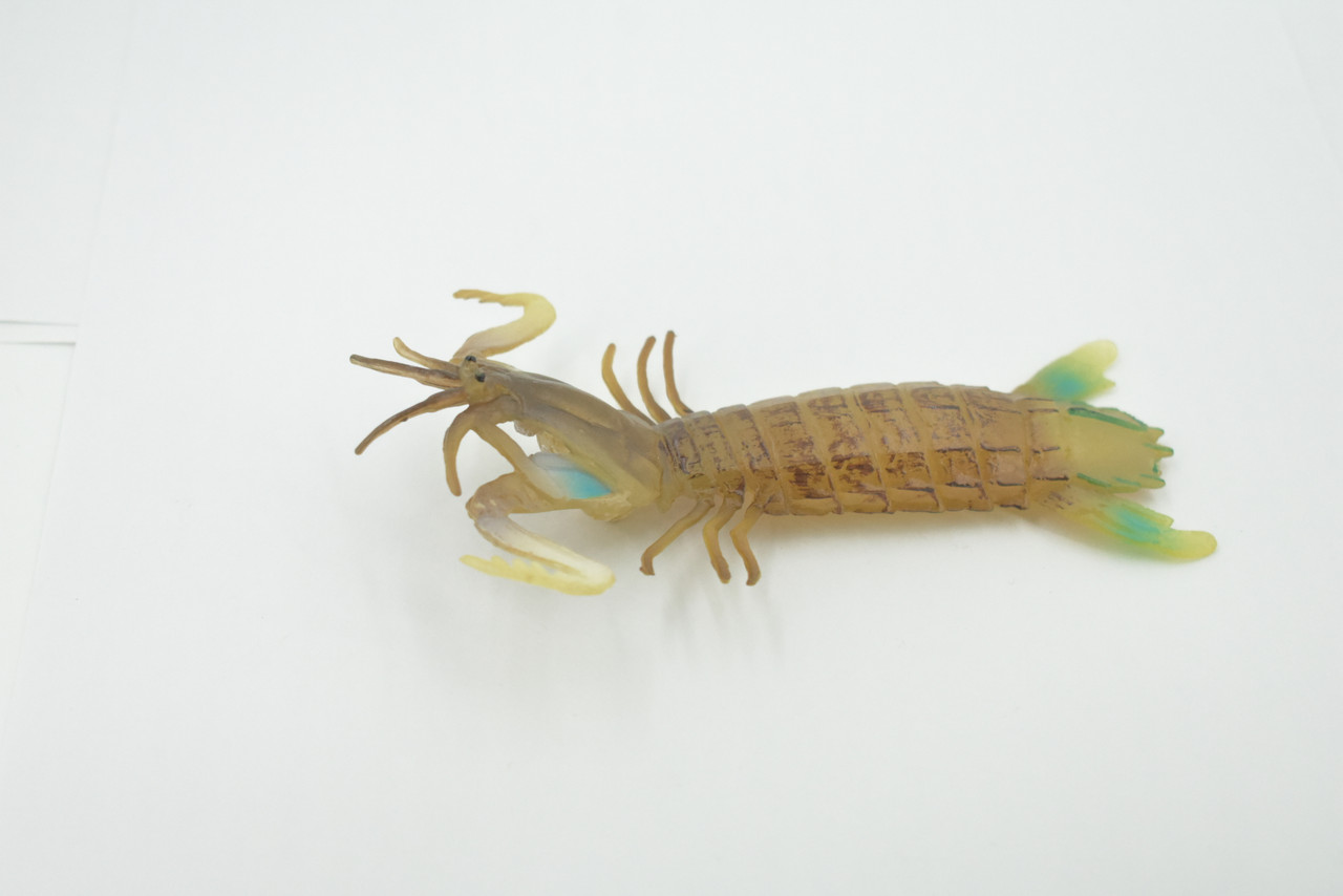 Mantis Shrimp, Marine Crustaceans, Museum Quality, Educational, Hand Painted, High Quality Rubber, Lifelike Design, Diorama Model, Kids,  5 Inches. 