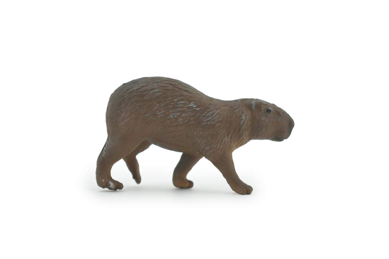Capybara, Giant Cavy Rodent, Nutria, Hand Painted, Rubber Animal, Realistic, Toy, Figure, Model, Replica, Kids, Educational, Gift,       2"     CH487 BB154