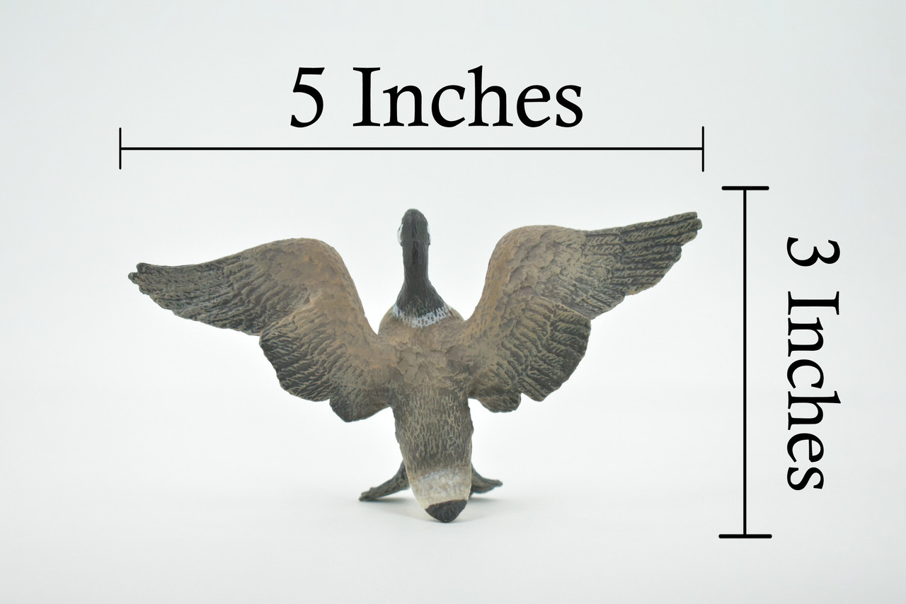 Canada Goose, Honker, Geese, Museum Quality, Educational, Hand Painted, Rubber Bird, Toy Figure, Lifelike Design, Diorama Model, Kids,  5 Inches. 