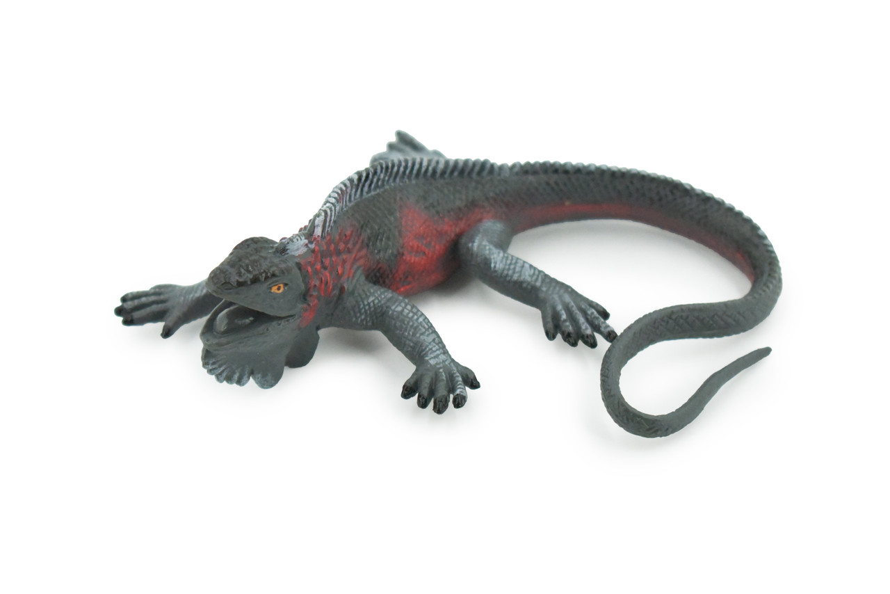 Iguana, Marine iguana, Lizard, Museum Quality, Hand Painted, Rubber, Realistic, Toy, Figure, Model, Replica, Kids, Educational, Gift,    5"     CH489 BB154