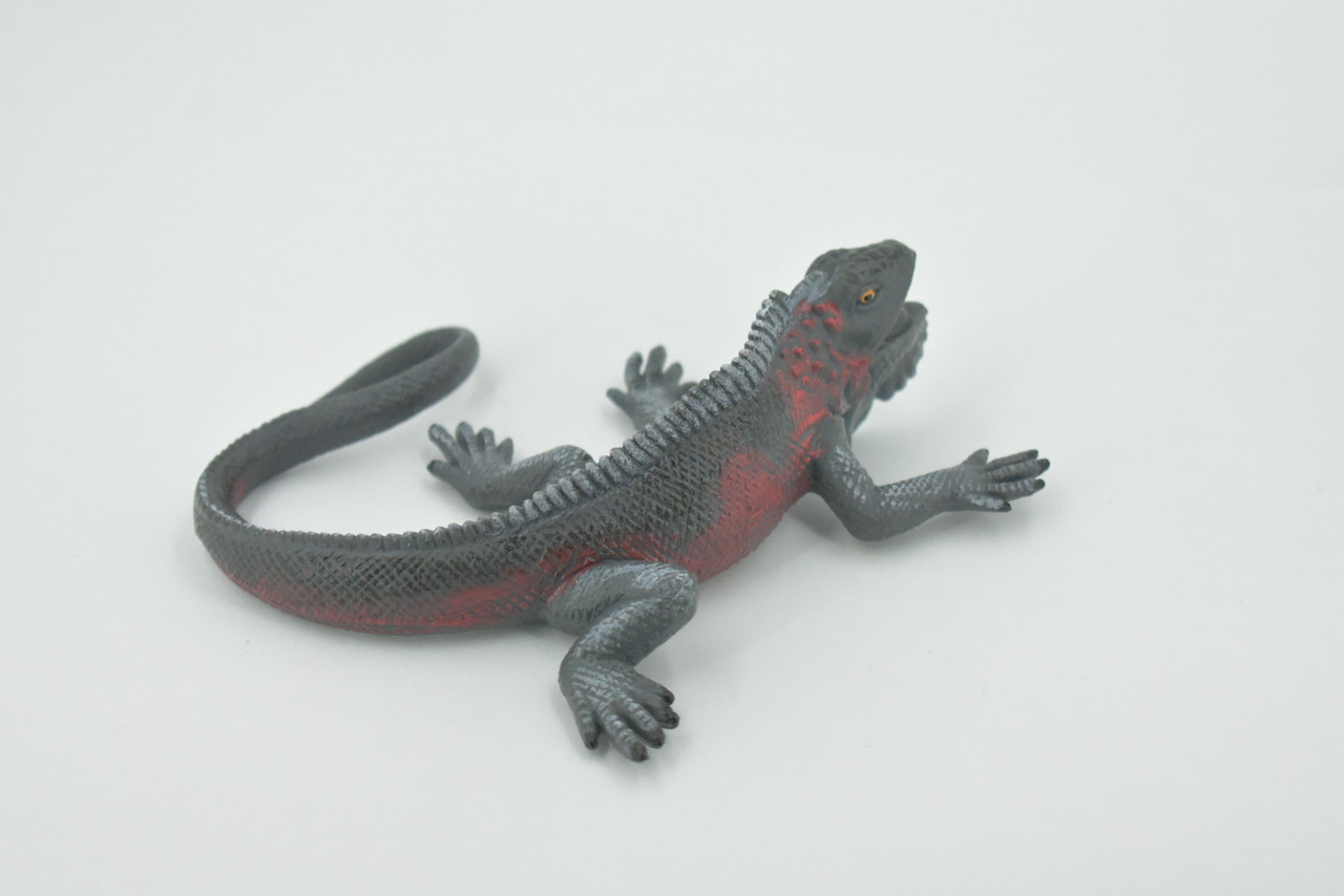 Iguana, Marine iguana, Lizard, Museum Quality, Hand Painted, Rubber, Realistic, Toy, Figure, Model, Replica, Kids, Educational, Gift,    5"     CH489 BB154