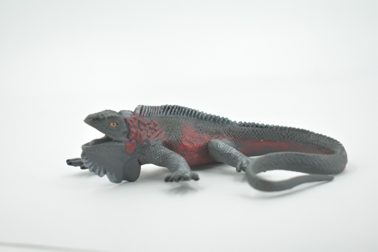 Iguana, Marine iguana, Lizard, Museum Quality, Hand Painted, Rubber, Realistic, Toy, Figure, Model, Replica, Kids, Educational, Gift,    5"     CH489 BB154