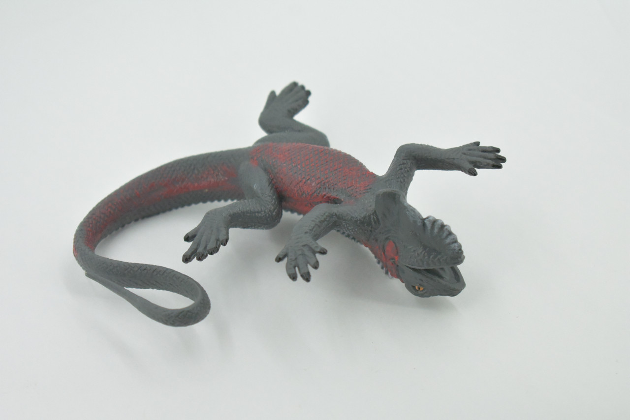 Iguana, Marine iguana, Lizard, Museum Quality, Hand Painted, Rubber, Realistic, Toy, Figure, Model, Replica, Kids, Educational, Gift,    5"     CH489 BB154