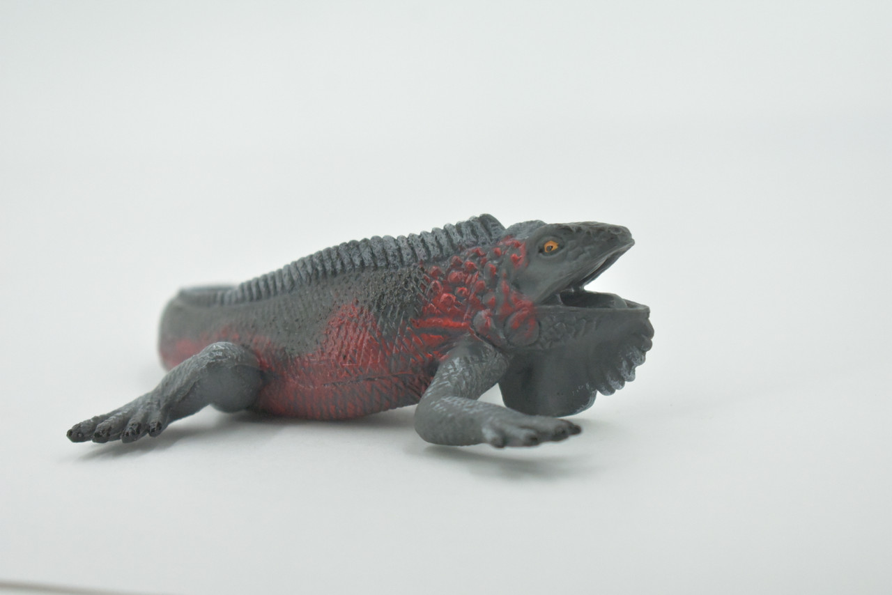 Iguana, Marine iguana, Lizard, Museum Quality, Hand Painted, Rubber, Realistic, Toy, Figure, Model, Replica, Kids, Educational, Gift,    5"     CH489 BB154