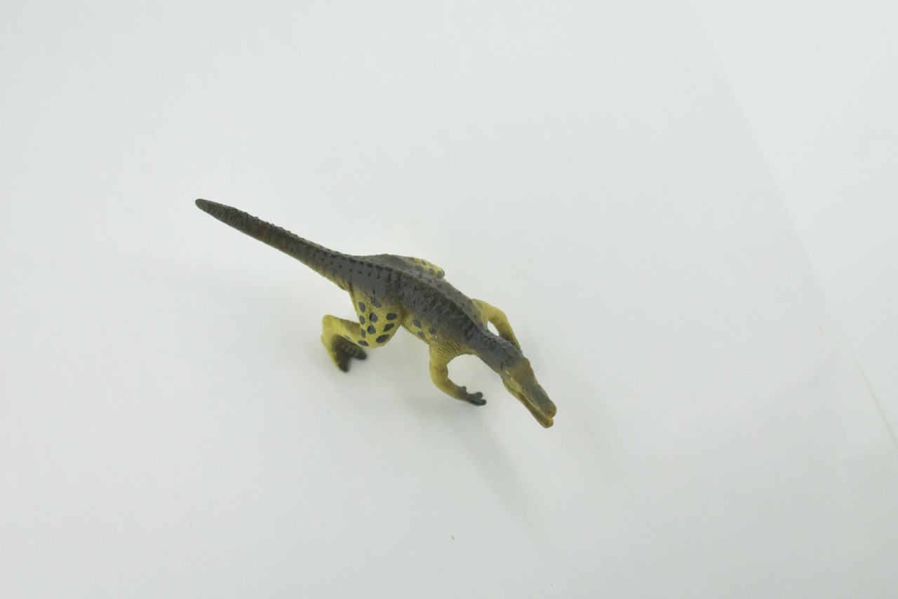 Dinosaur, Theropod dinosaur, Cretaceous, Museum Quality, Hand Painted, Rubber, Realistic, Toy, Figure, Model, Replica, Kids, Educational, Gift,    3 1/2"   CH490 BB154