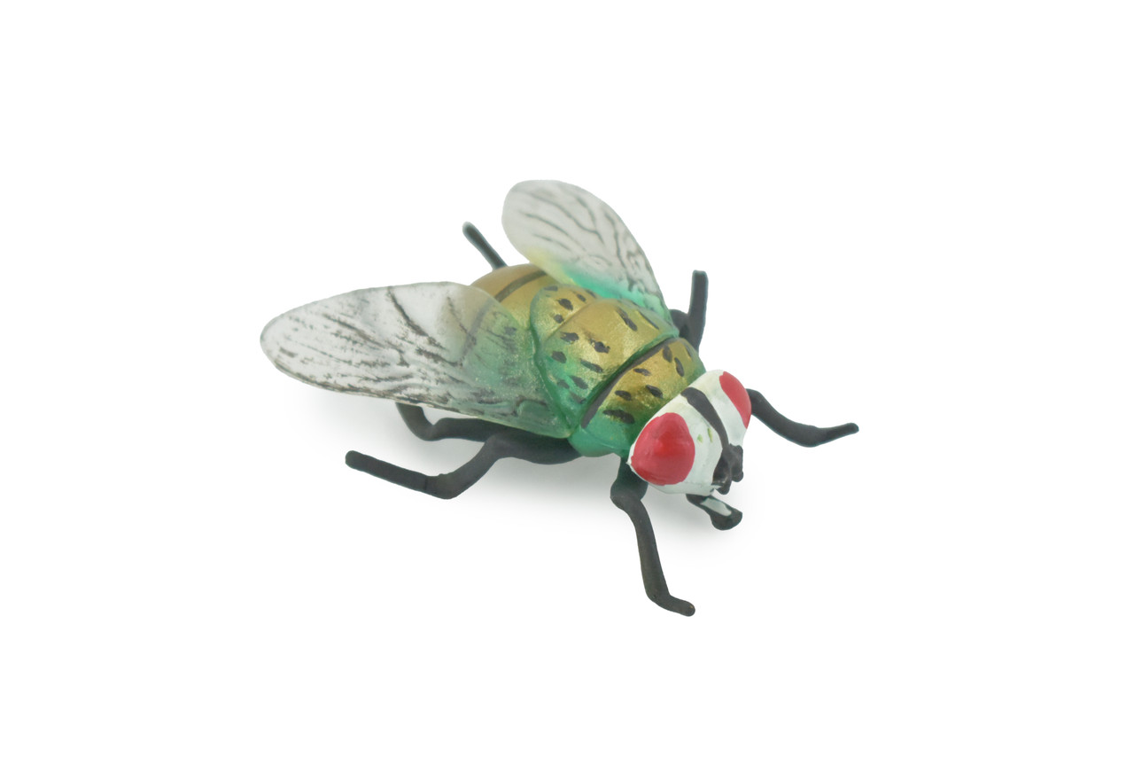 Fly, Housefly, House Flies, Insect, Hand Painted, High Quality Rubber, Realistic, Toy, Figure, Kids, Model, Replica, Educational, Gift,    2 1/2"    CH493 BB154 