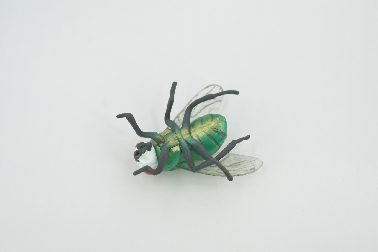 Fly, Housefly, House Flies, Insect, Hand Painted, High Quality Rubber, Realistic, Toy, Figure, Kids, Model, Replica, Educational, Gift,    2 1/2"    CH493 BB154 