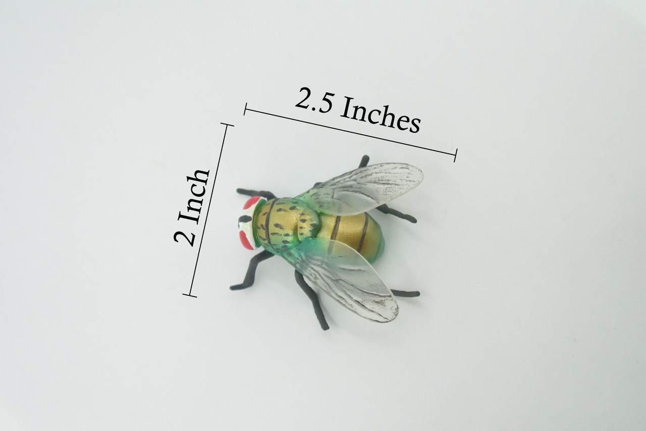 Fly, Housefly, House Flies, Insect, Hand Painted, High Quality Rubber, Realistic, Toy, Figure, Kids, Model, Replica, Educational, Gift,    2 1/2"    CH493 BB154 