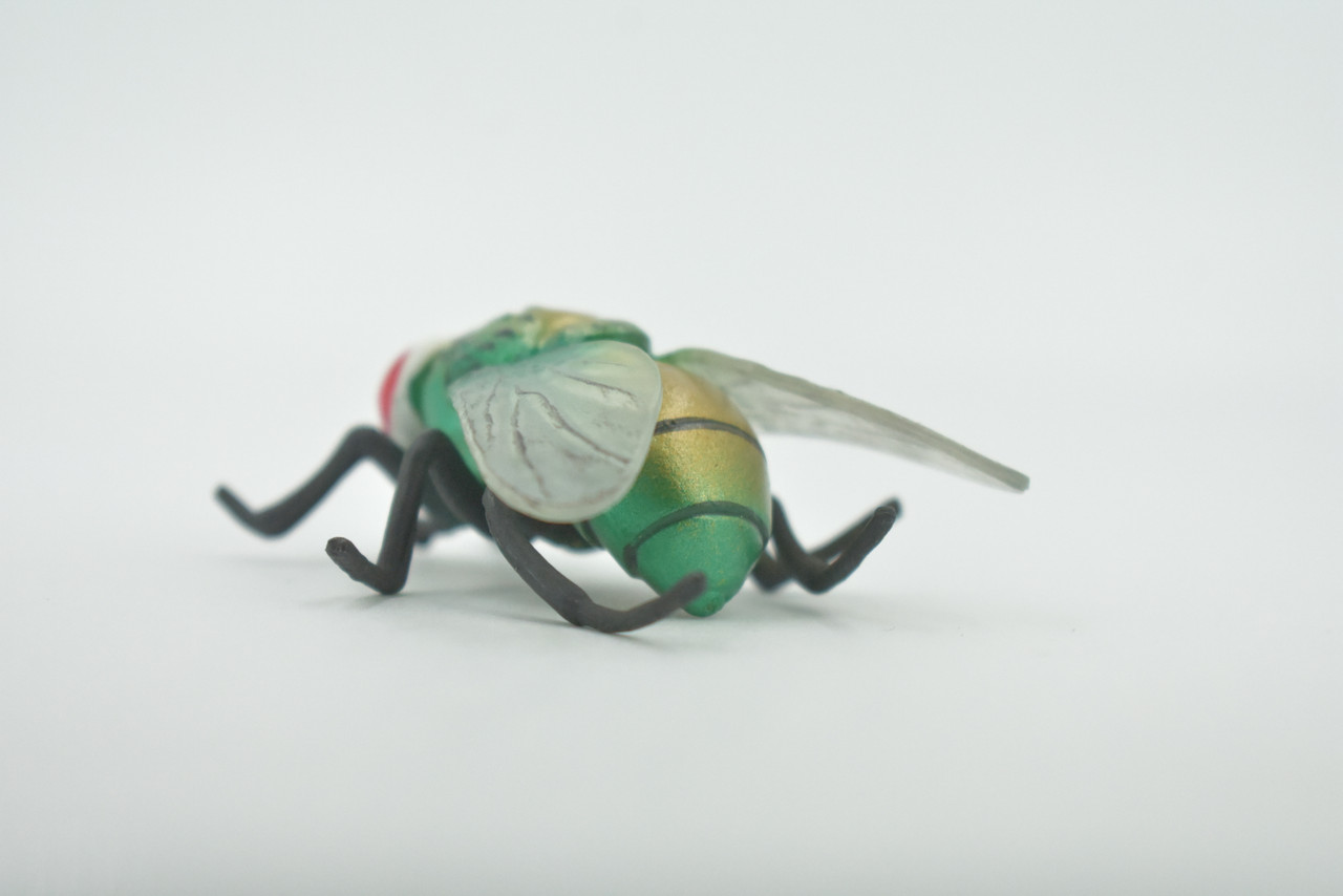 Fly, Housefly, House Flies, Insect, Hand Painted, High Quality Rubber, Realistic, Toy, Figure, Kids, Model, Replica, Educational, Gift,    2 1/2"    CH493 BB154 