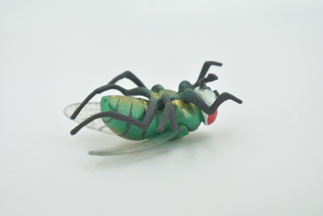 Fly, Housefly, House Flies, Insect, Hand Painted, High Quality Rubber, Realistic, Toy, Figure, Kids, Model, Replica, Educational, Gift,    2 1/2"    CH493 BB154 