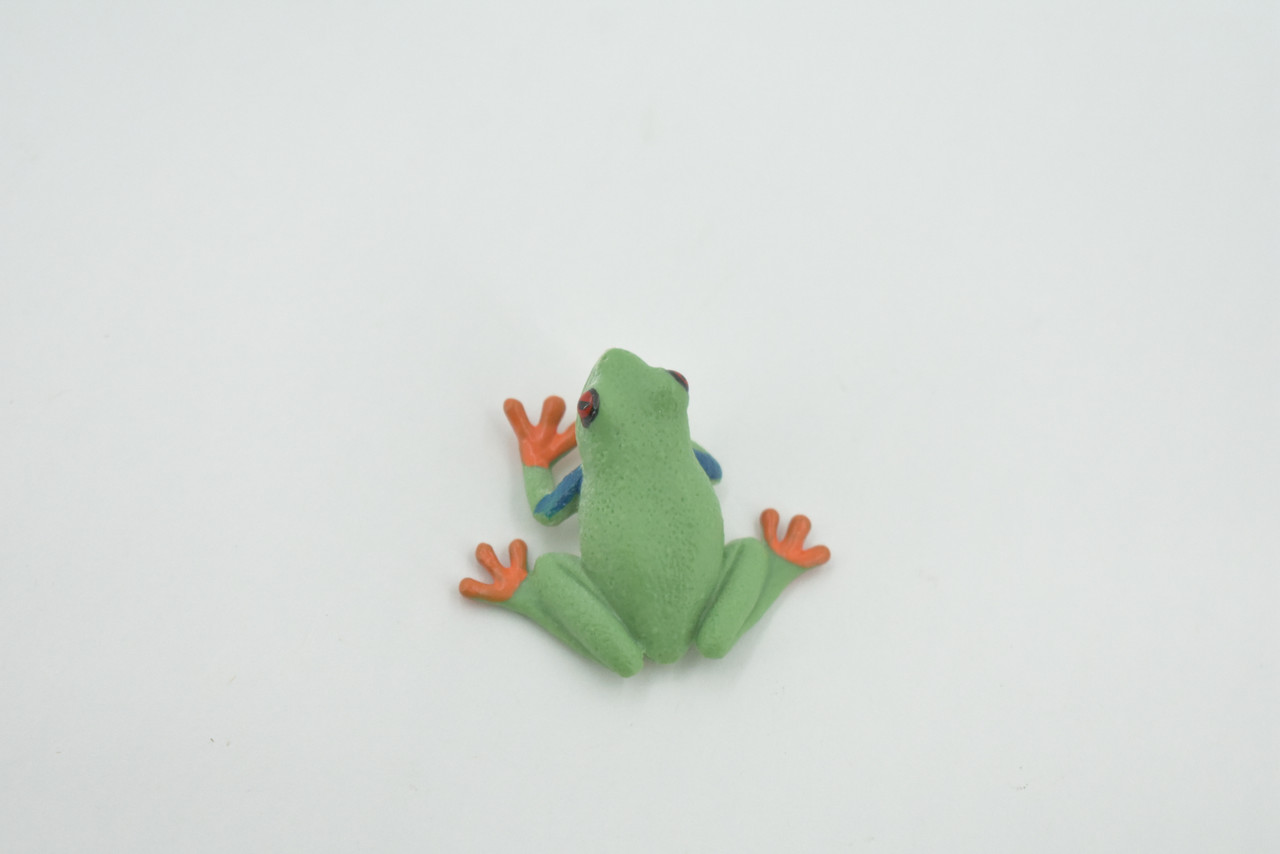 Frog, Red-Eyed Tree Frog , Museum Quality, Hand Painted, Rubber Amphibian, Realistic Figure, Model, Replica, Toy, Kids, Educational, Gift,   1 1/2"    CH496 BB154