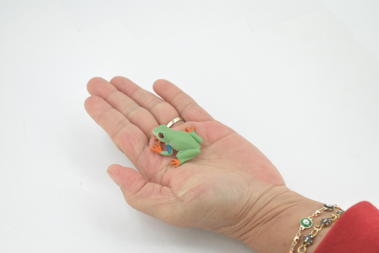 Frog, Red-Eyed Tree Frog , Museum Quality, Hand Painted, Rubber Amphibian, Realistic Figure, Model, Replica, Toy, Kids, Educational, Gift,   1 1/2"    CH496 BB154