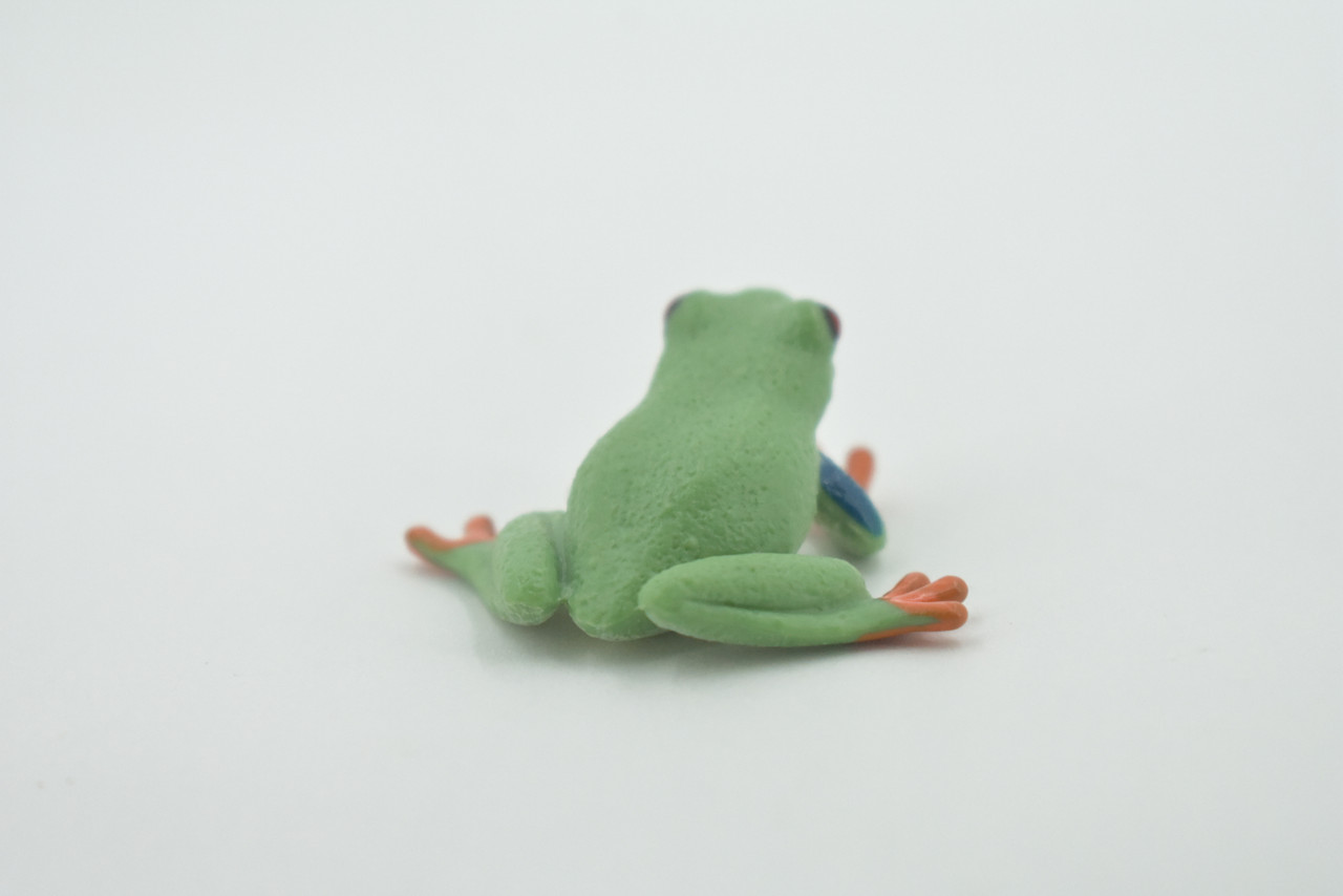 Frog, Red-Eyed Tree Frog , Museum Quality, Hand Painted, Rubber Amphibian, Realistic Figure, Model, Replica, Toy, Kids, Educational, Gift,   1 1/2"    CH496 BB154