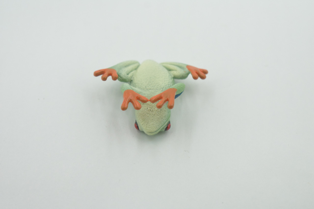 Frog, Red-Eyed Tree Frog , Museum Quality, Hand Painted, Rubber Amphibian, Realistic Figure, Model, Replica, Toy, Kids, Educational, Gift,   1 1/2"    CH496 BB154