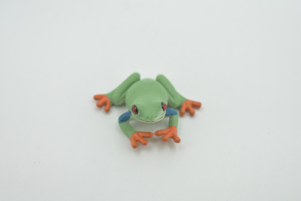 Frog, Red-Eyed Tree Frog , Museum Quality, Hand Painted, Rubber Amphibian, Realistic Figure, Model, Replica, Toy, Kids, Educational, Gift,   1 1/2"    CH496 BB154