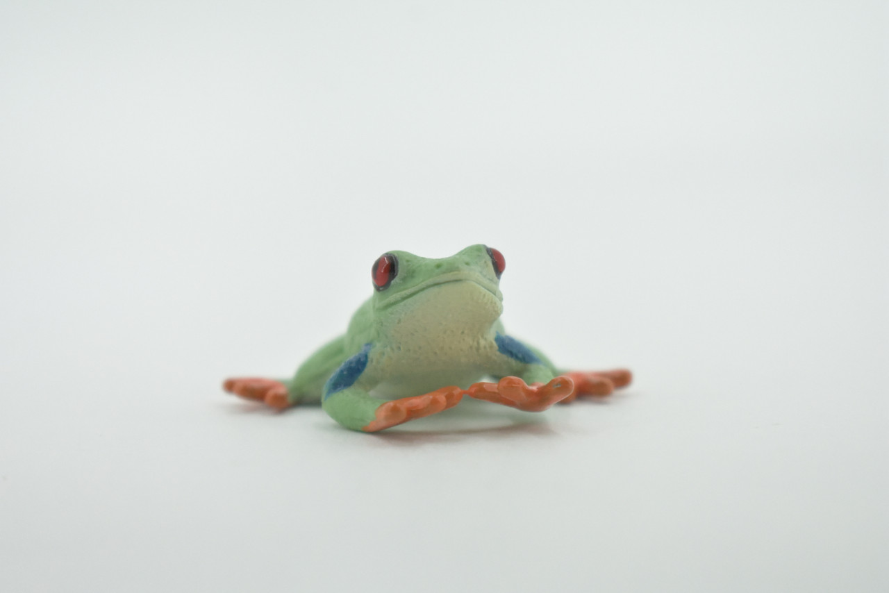 Frog, Red-Eyed Tree Frog , Museum Quality, Hand Painted, Rubber Amphibian, Realistic Figure, Model, Replica, Toy, Kids, Educational, Gift,   1 1/2"    CH496 BB154