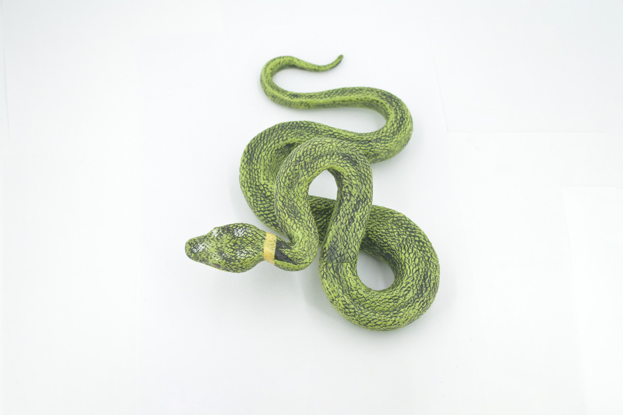 Snake, Green Boa constrictor, Museum Quality, Hand Painted, Rubber Reptile, Realistic Figure, Model, Replica, Toy, Kids, Educational, Gift,  8"    CH498 BB155