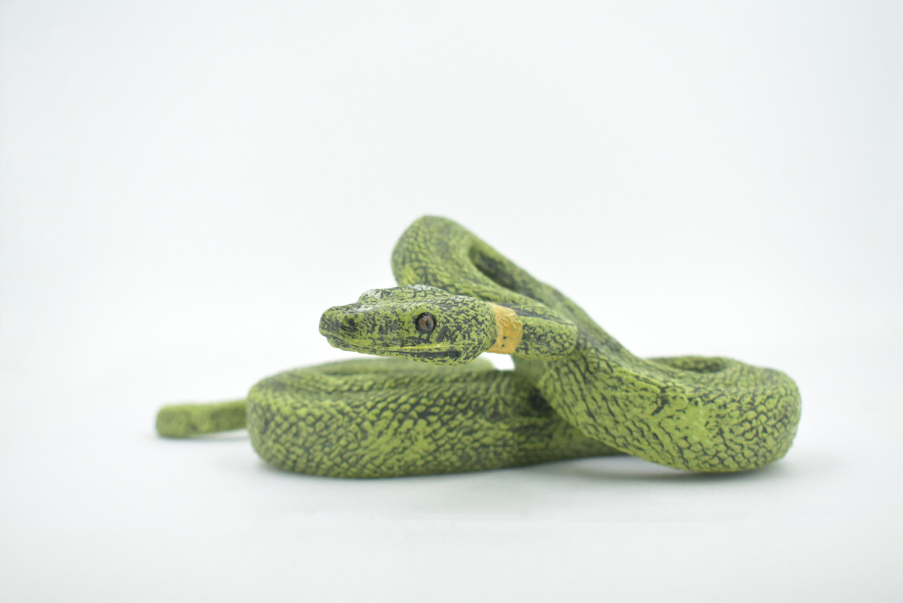 Snake, Green Boa constrictor, Museum Quality, Hand Painted, Rubber Reptile, Realistic Figure, Model, Replica, Toy, Kids, Educational, Gift,  8"    CH498 BB155
