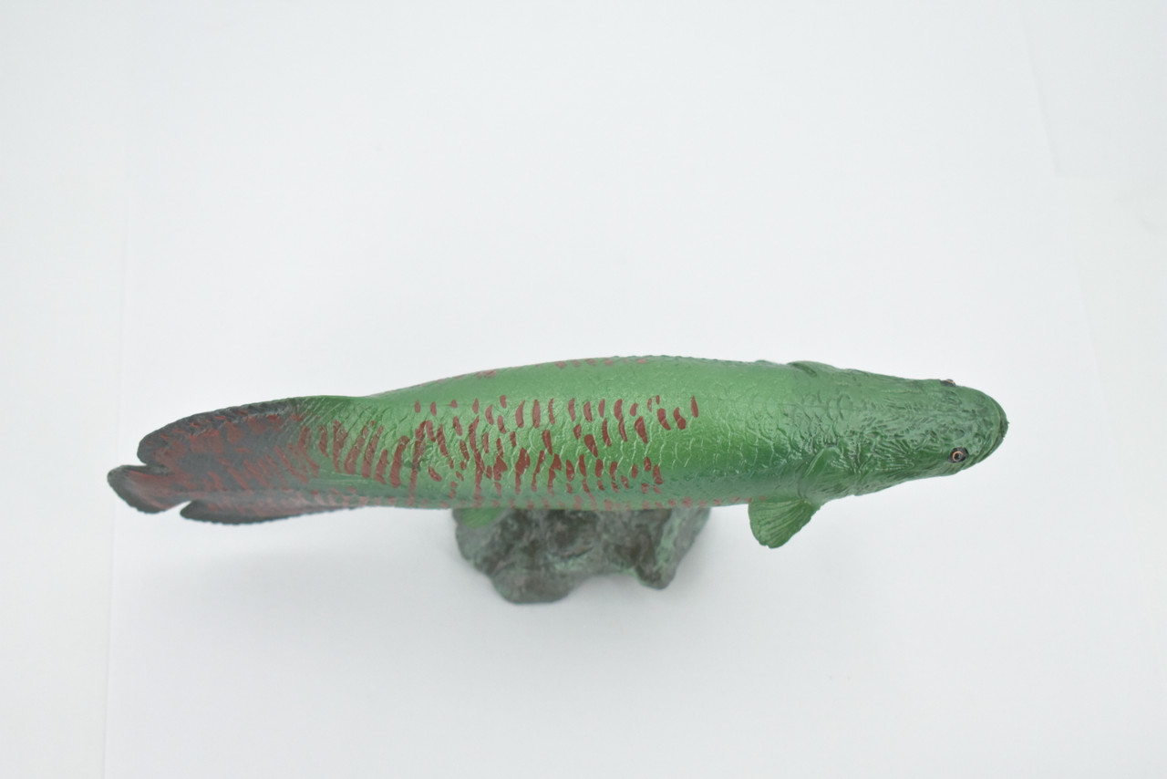 Arapaima, Pirarucu, or Paiche, Museum Quality, Hand Painted, Rubber Fish, Realistic Figure, Model, Replica, Toy, Kids, Educational, Gift,      7 "   CH501 BB155 