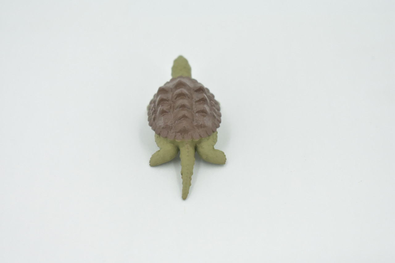 Alligator Snapping Turtle, Plastic Reptile, Educational, Realistic, Figure, Lifelike Model, Figurine, Replica, Toys, Kids, Gift,    2 1/2 Inches.   F9000 B48